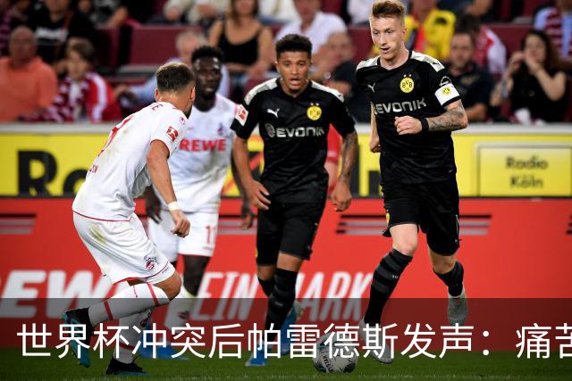 世界杯冲突后帕雷德斯发声：痛苦又骄傲，为阿根廷球衣拼尽全力